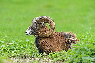 暴雪战网现在支持改名 只有一次、截止到11月6日