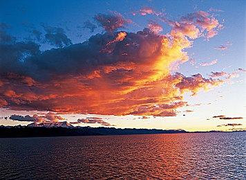 《艾尔登法环：黑夜君临》封闭测试现已开放注册