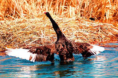 《志怪者》民俗恐怖新剧本首曝 Steam史低特卖中